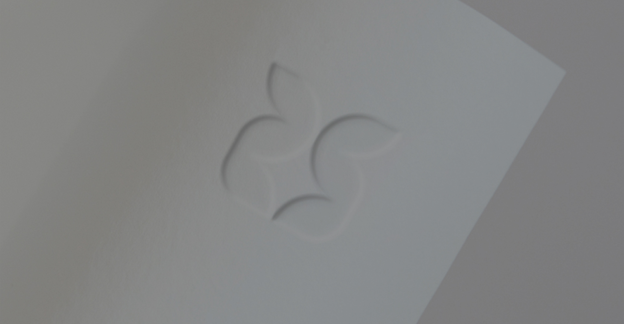 IDEAGRAM-RIMBUN SERUYAN-BRANDING
